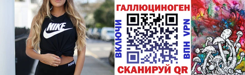 Галлюциногенные грибы Psilocybine cubensis это телеграм Озёрск OMG зеркало